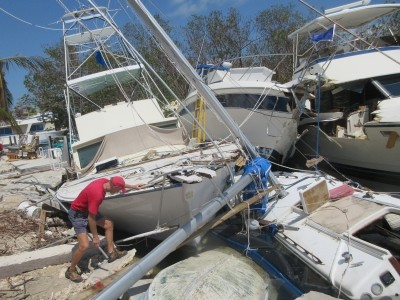 irma1 pre-purchase Survey
